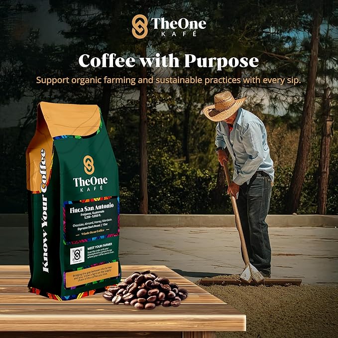 TheOne Kafé Guatemala Dark Roast Whole Bean Coffee – Organic, Single Origin, Premium Specialty Coffee and Ethically Sourced – Fresh Roasted for Espresso, Drip, Pour Over – 12 oz (Pack of 2)