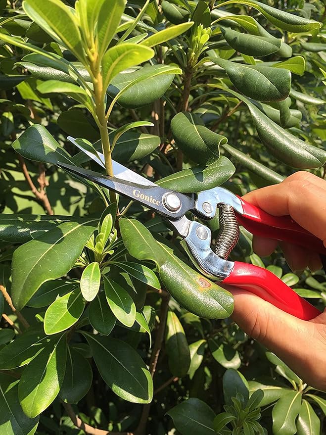 gonicc Micro-Tip Pruning Snips(GPPS-1008), Stainless Steel Garden Shears