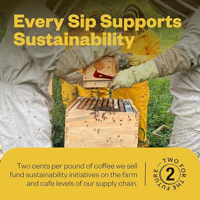 Counter Culture Whole Bean Organic Coffee Half-Caff (Even Keel - Light Roast) Graham Cracker & Molasses - Sustainably Sourced - B Corp - Organic Coffee Beans - Kosher, Gluten Free, Nut Free - 12oz Bag