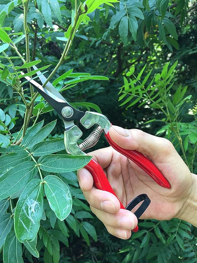gonicc Micro-Tip Pruning Snips(GPPS-1008), Stainless Steel Garden Shears