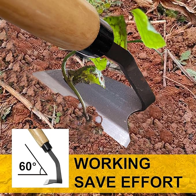 Hanpex - Japanese Weeding Sickle, Wide Blade Gardening Tools - Premium Quality Hand Hoes/Weeding Sickle Have Very Sharp Edge for Quick Work (Long Handle)