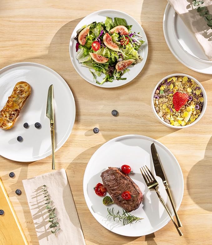 TheTerra Ceramic Dinnerware Set for 4, 12-Piece Plates and Bowls Set