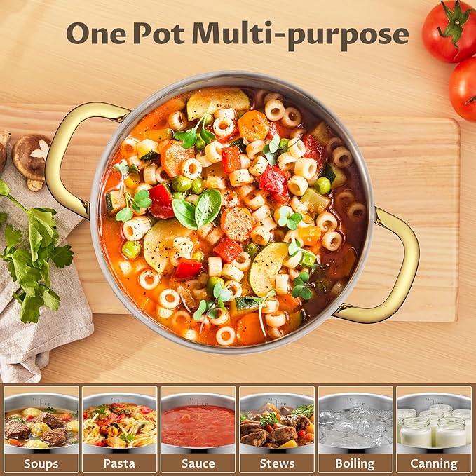 BEZIA 12 QT Stainless Steel Stock Pot, Uncoated Large Soup Pot with Lid