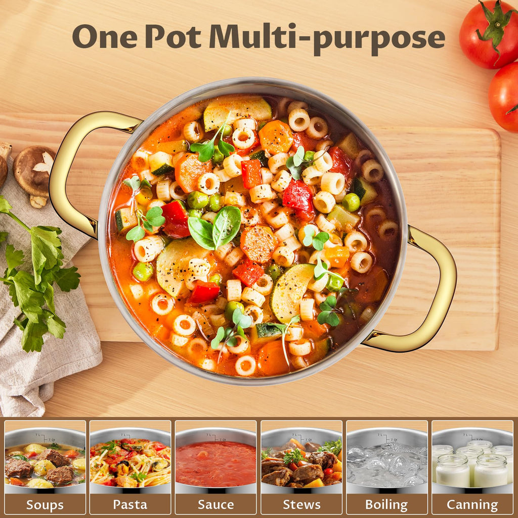 BEZIA 12 QT Stainless Steel Stock Pot, Uncoated Large Soup Pot with Lid
