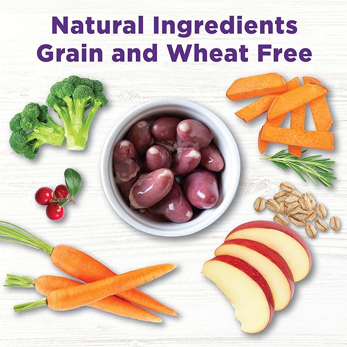 Wellness Bowl Boosters Skin and Coat Health Dog Food Topper with Freeze Dried Pieces for Small, Medium, and Large Breeds, Grain Free, Natural, Chicken Recipe, 4 oz Bag