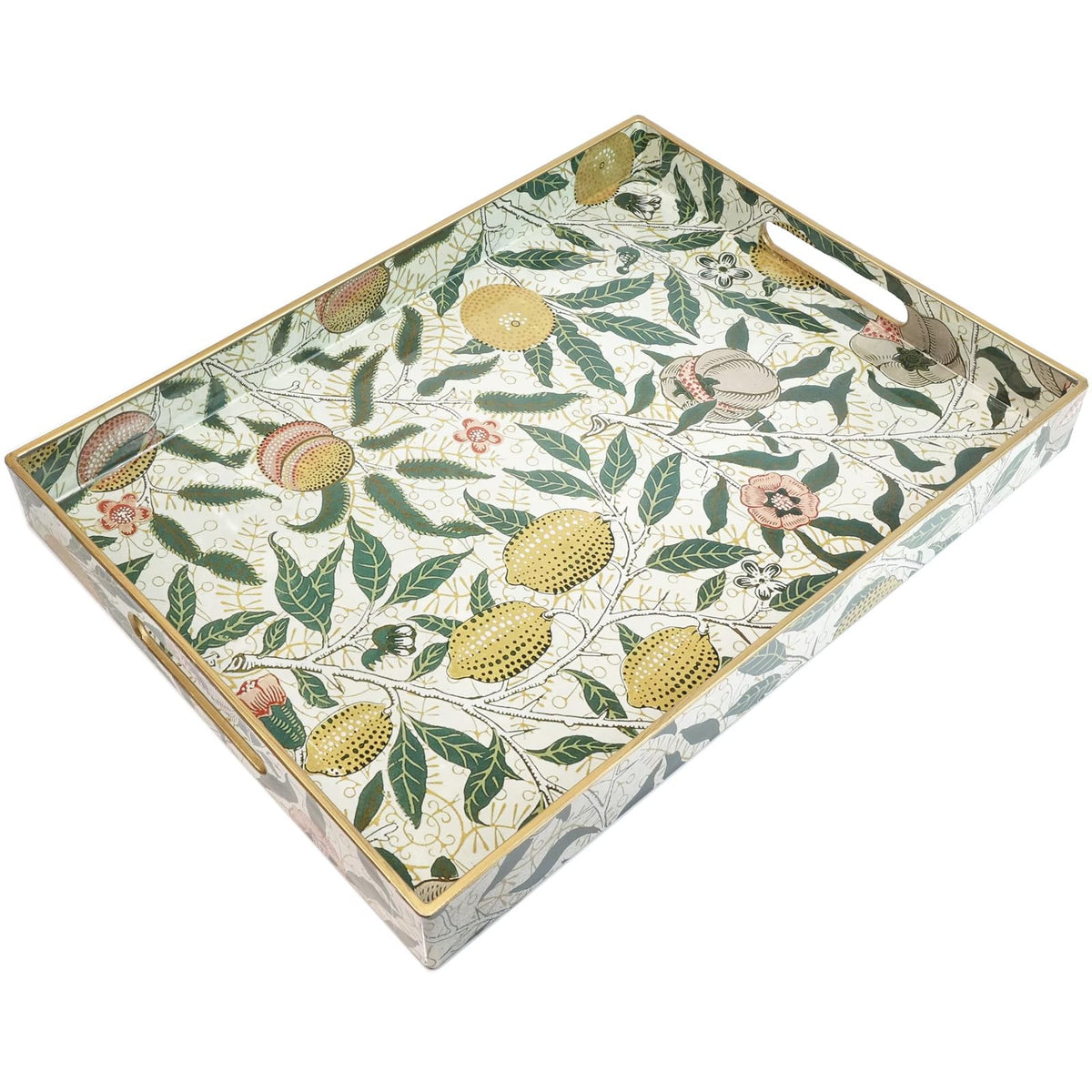 Spsyrine Plastic Serving Tray with Handles for Coffee Table, Dianthus