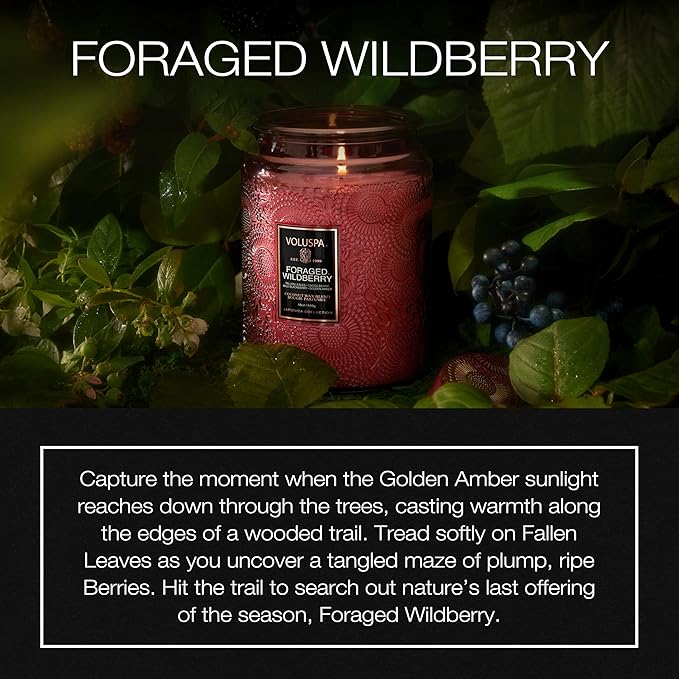 Voluspa Foraged Wildberry Large Jar Candle, 18 oz, Coconut Wax Blend, Berry Scented Candle for Home, 100 Hour Burn Time, Handcrafted in the USA