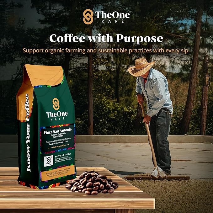 TheOne Kafé Guatemala Dark Roast Whole Bean Coffee – Organic, Single Origin, Premium Specialty Coffee, Ethically Sourced, Smooth & Rich Flavor – Fresh Roasted for Espresso, Drip, Pour Over – 12 oz
