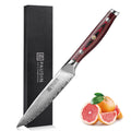 PAUDIN Utility Knife, 5 Inch Damascus Chef Knife