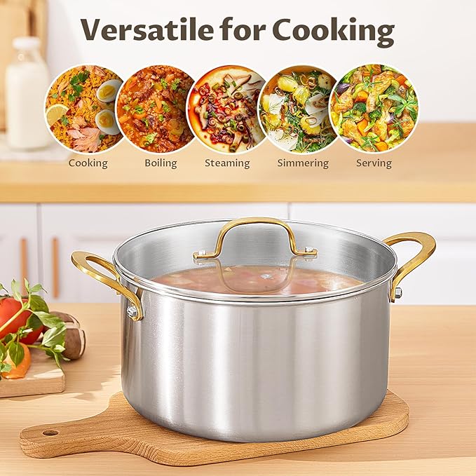 BEZIA 6 QT Stock Pot with Lid, Full Clad 3-Ply Stainless Steel Cooking Pot
