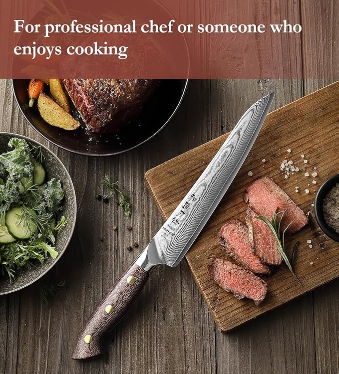 HEZHEN 8.3'' Damascus Carving Knife – 67 Layers Damascus Steel, Professional Brisket Slicing for BBQ, Smoked Meat & Roast, Full Tang Micarta Handle, Gift Packing