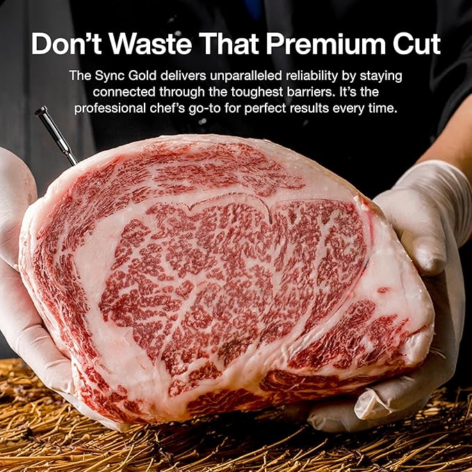 Typhur Sync Gold Wireless WiFi Meat Thermometer, 2 Slim Probes, Smart Base