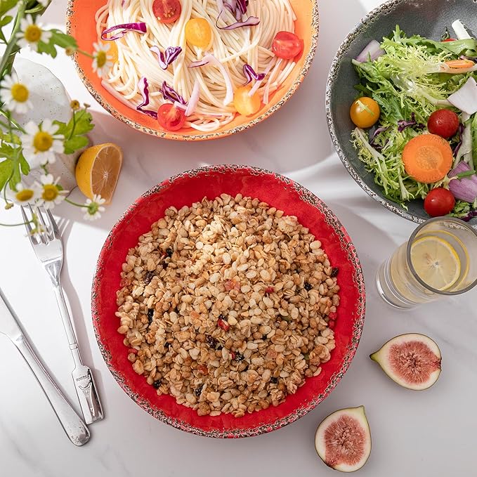 ZAROCRUS Farmhouse Melamine Pasta Bowls Set of 6, 42 OZ Large Serving Bowls Set, 9.25 inch Ramen Bowls,Wide and Shadow Rustic Red Round Dinner Bowl, Fruit bowl, Noodle Bowl, Salad Bowl Set, Red…