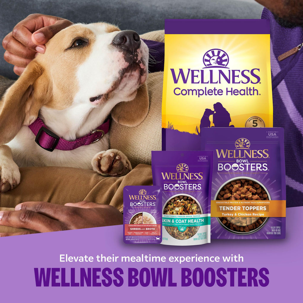 Wellness Bowl Boosters Digestive Health Dog Food Topper with Freeze Dried Pieces for Small, Medium, and Large Breeds, Sensitive Stomach, Grain Free, Natural, Chicken Recipe, 4 oz Bag