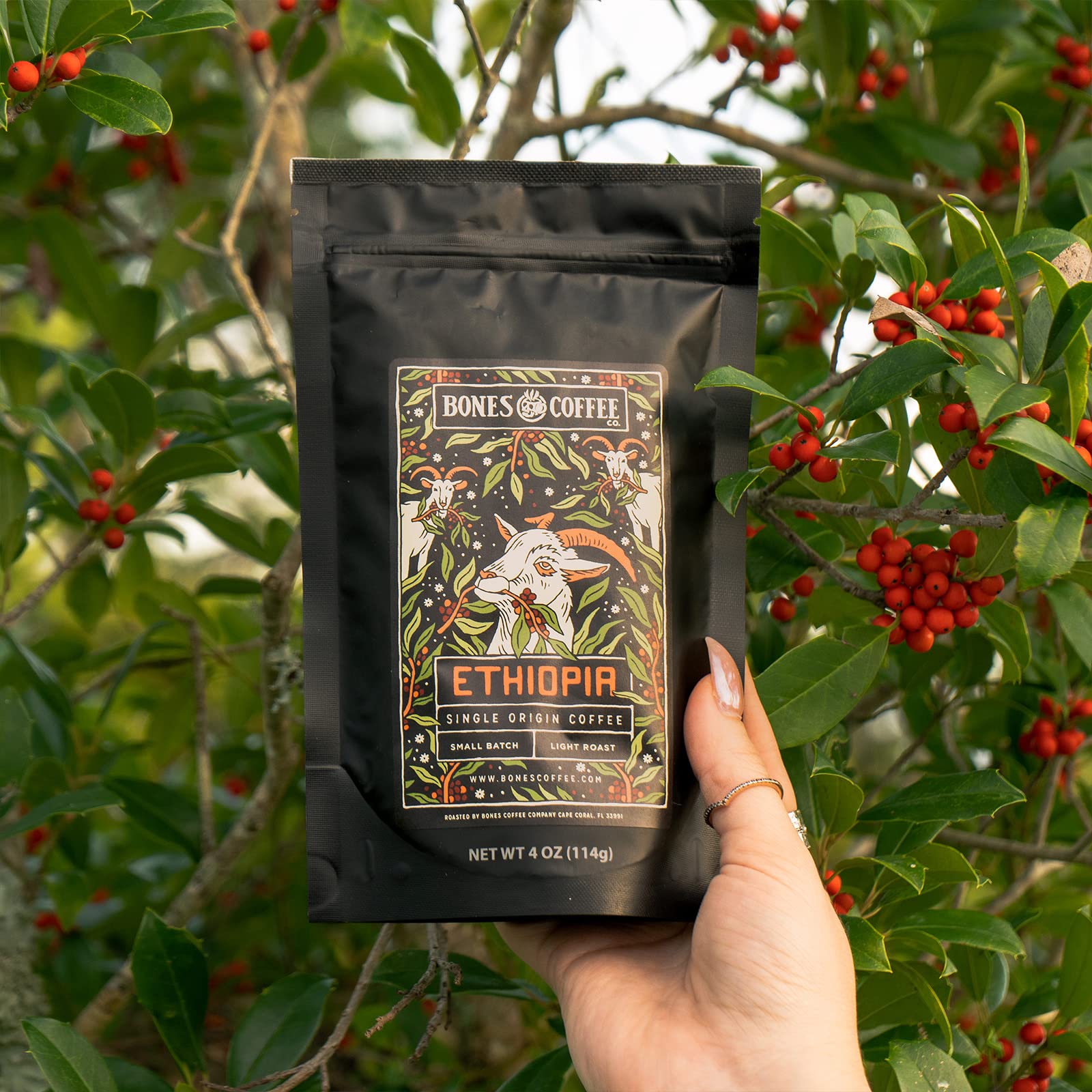 Bones Coffee Company NEW World Tour Sample Pack, Single-Origin Flavored Coffee Medium Roast Arabica Beans Specialty Coffee Gifts Compatible Auto Drip and French Press, 4 oz Pack of 5 Whole Bean