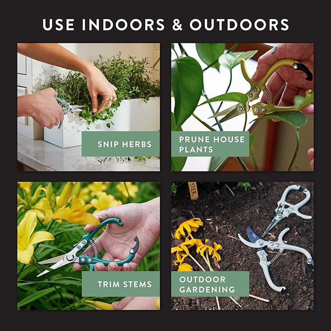 Modern Sprout Pruning Shears - Garden Snips - Herb Scissors - Sage 1-Pack