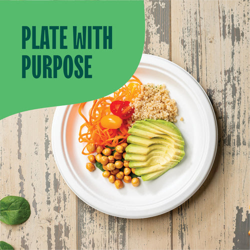100% Compostable Paper Plates 9 Inch [500 Count] Heavy-Duty Dinner Plates - White Bagasse - Eco-Friendly Disposable Biodegradable Sugarcane Plates - [Bulk Case 4 x 125 Pack] - (BPI Certified)