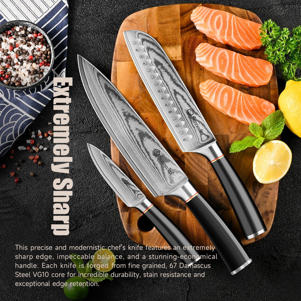 Sunnecko Damascus Knives Set,Japanese VG10 Core Steel Damascus 3PCS Chef Knife Set,Professional Razor Sharp Kitchen Knives Set with Knife Sharpner