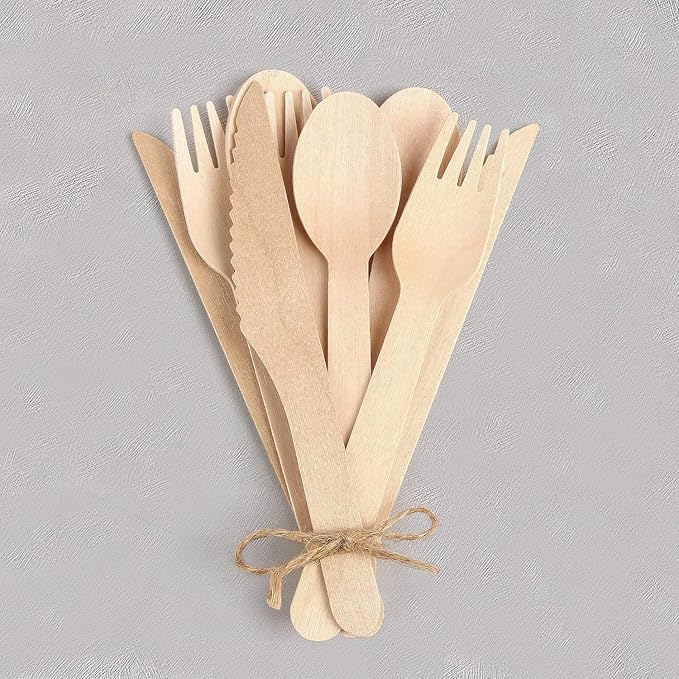 500 Wooden Spoons for Eating, Alternative to Plastic and Bamboo Spoons - Eco Friendly, Biodegradable, Disposable Spoons Set - 500 Compostable Spoon Utensils Set for Lounge Party Wedding, BBQ