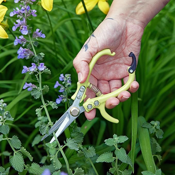 Modern Sprout Pruning Shears- Garden Snips-Herb Scissors- Chartreuse 1-Pack