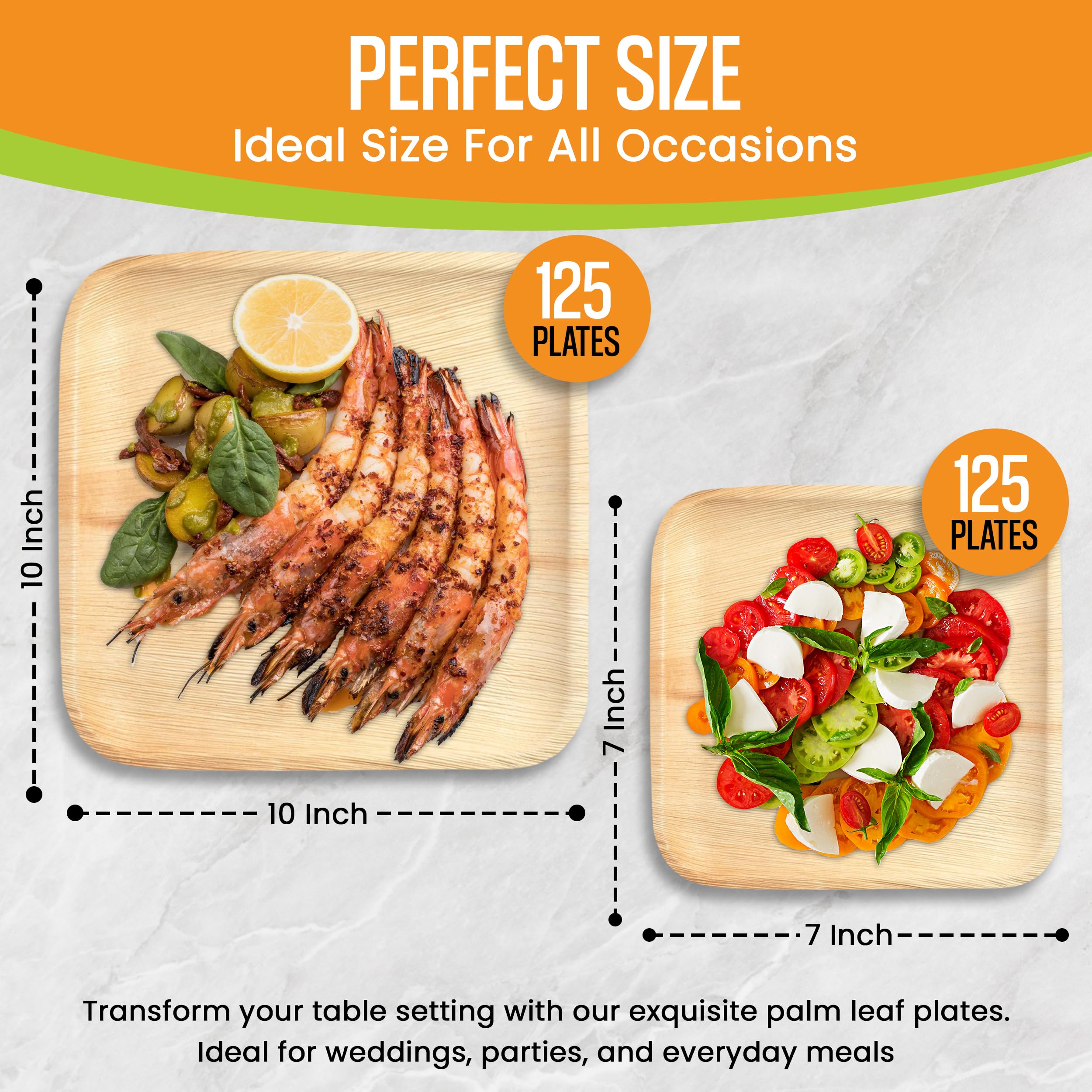 Raj Palm Leaf 10" & 7" Square Plates, 250 Count (5 cases) Bulk Pack