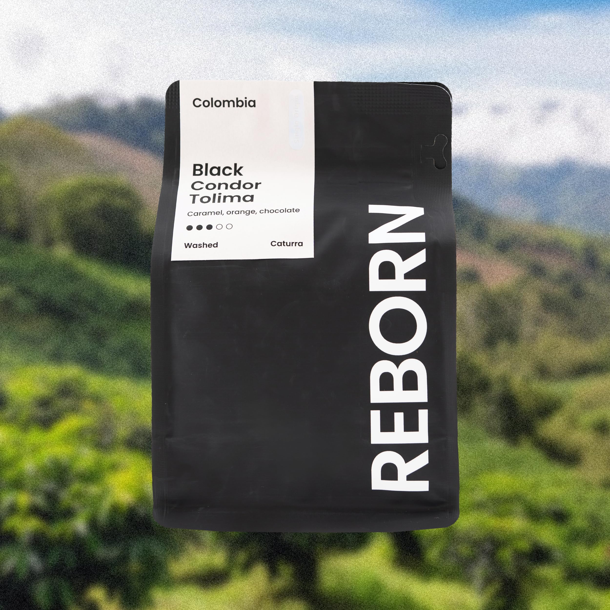 Reborn Coffee Specialty Whole Bean Coffee, Medium Roast, 12 Ounce, Colombia Black Condor Tolima, Flavor Notes of Chocolate, Nut, and Citrus