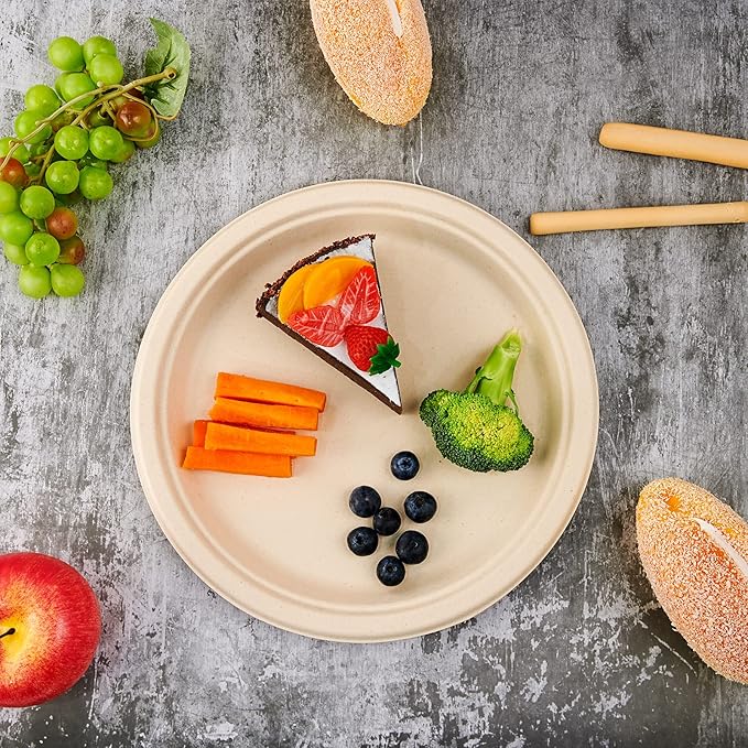 Vplus 500 Pack Compostable Bagasse Paper Plates 10.25 inch, Nature
