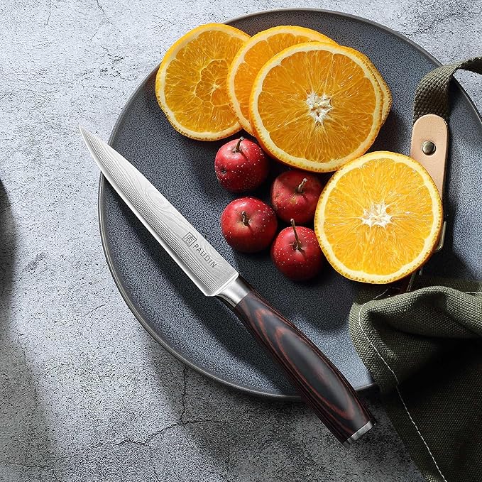 PAUDIN Kitchen Utility Knife, 5 Inch Chef Knife Fruit Knife, Gift Box