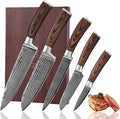 Wakoli EDIB Damascus Knife Set, 5-Piece VG10 Steel Knives, Wooden Gift Box