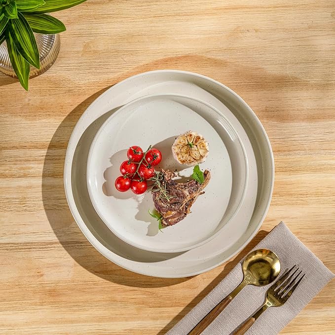 AmorArc Dinnerware Sets for 4, 12 Pieces Ceramic Plates and Bowls Set
