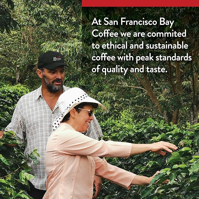 San Francisco Bay Coffee Cold Brew Blend Ground Coffee, 28 oz bag