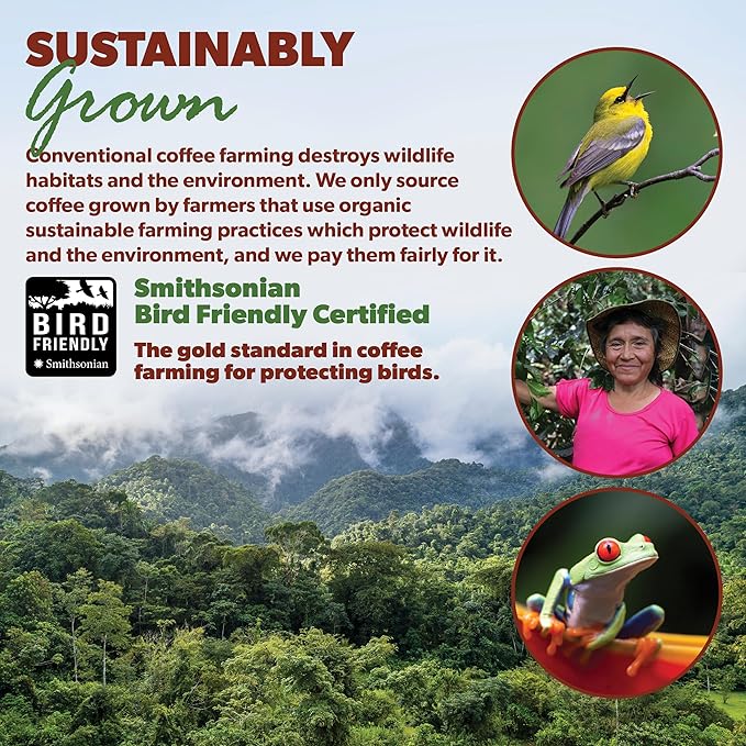 Java Planet Low Acid Organic Guatemalan Coffee Beans, Medium Roast, 16 oz