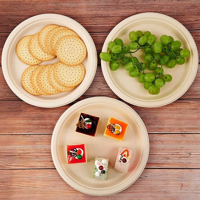Vplus 500 Pack Compostable Bagasse Paper Plates 10.25 inch, Nature